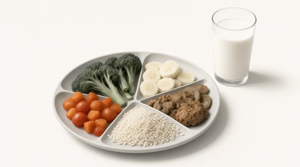 Illustration for Nutrition and a Balanced Diet